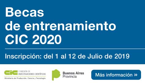 Becas De Entrenamiento CIC 2020