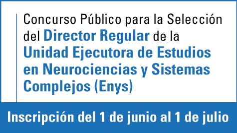 Concurso Público Para La Selección Del Director Regular De La Unidad Ejecutora De Estudios En Neurociencias Y Sistemas Complejos (Enys)
